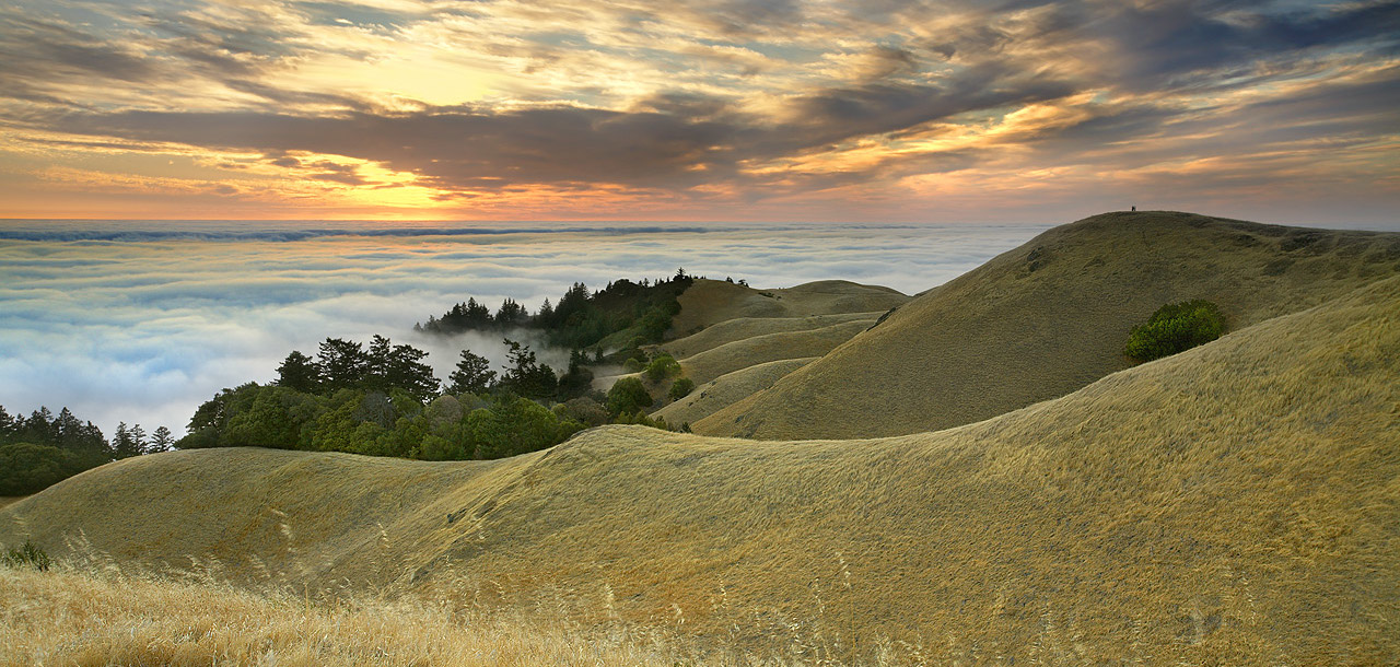 home-james-california-real-estate-marin-county-sunrise